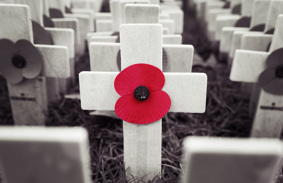 Panel Image of a poppy